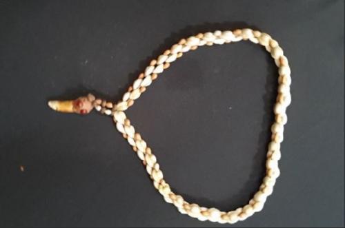 croc tooth shell necklace