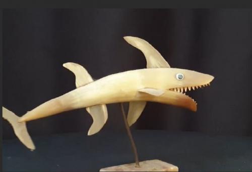 horny shark