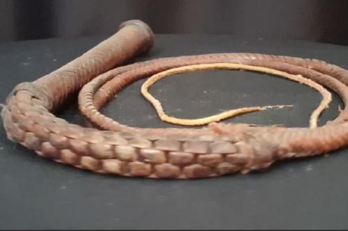 leather whip