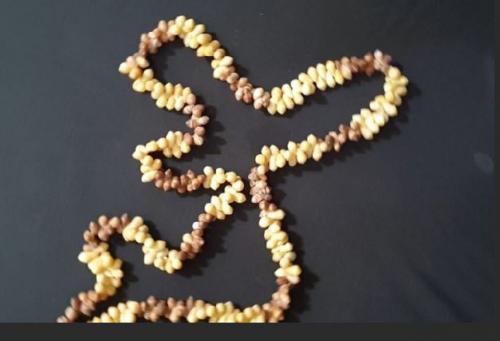 shell necklace1