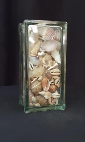 shells glass